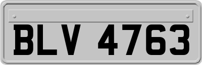 BLV4763