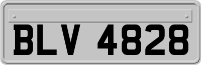 BLV4828
