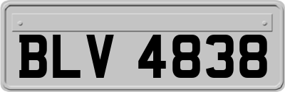BLV4838
