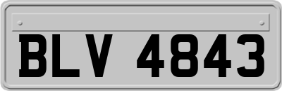 BLV4843