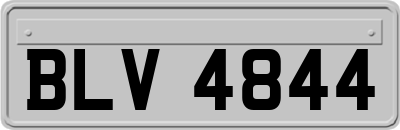 BLV4844