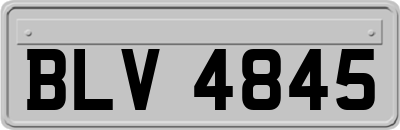 BLV4845