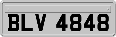 BLV4848