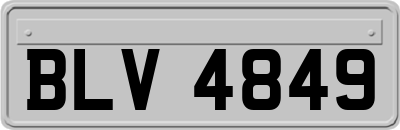 BLV4849