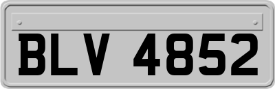 BLV4852