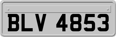 BLV4853