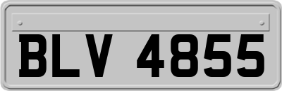 BLV4855
