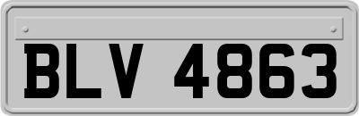 BLV4863