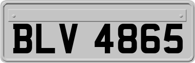BLV4865