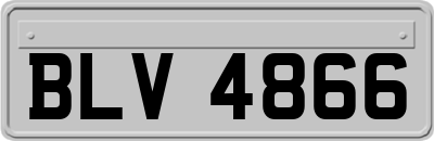 BLV4866