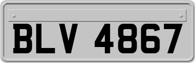 BLV4867