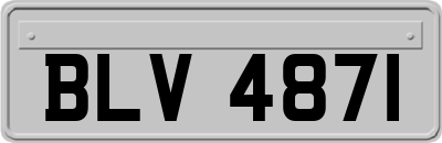 BLV4871