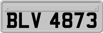 BLV4873
