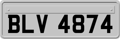 BLV4874