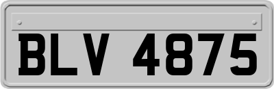 BLV4875