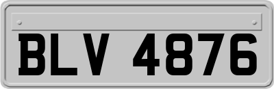 BLV4876