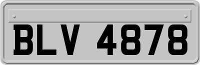 BLV4878