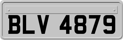 BLV4879
