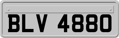 BLV4880
