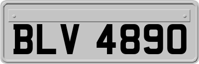 BLV4890