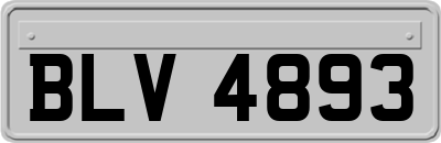 BLV4893