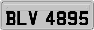 BLV4895
