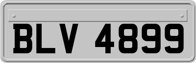 BLV4899