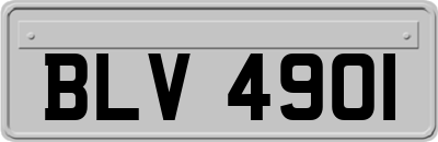 BLV4901