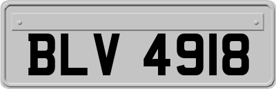 BLV4918