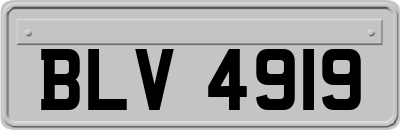 BLV4919
