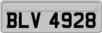 BLV4928