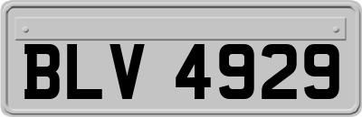 BLV4929