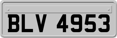 BLV4953