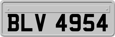 BLV4954