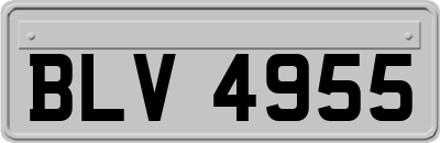 BLV4955