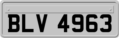 BLV4963