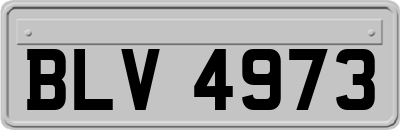 BLV4973