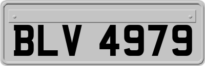 BLV4979