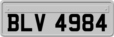 BLV4984