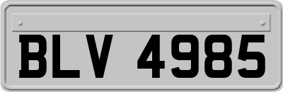 BLV4985