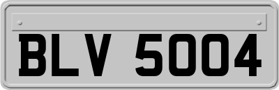 BLV5004