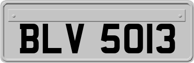 BLV5013