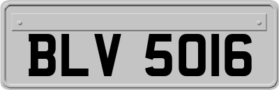 BLV5016