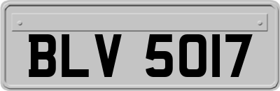 BLV5017