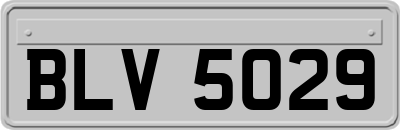 BLV5029