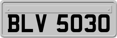 BLV5030