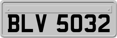 BLV5032