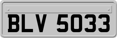 BLV5033
