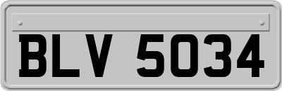 BLV5034