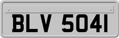 BLV5041